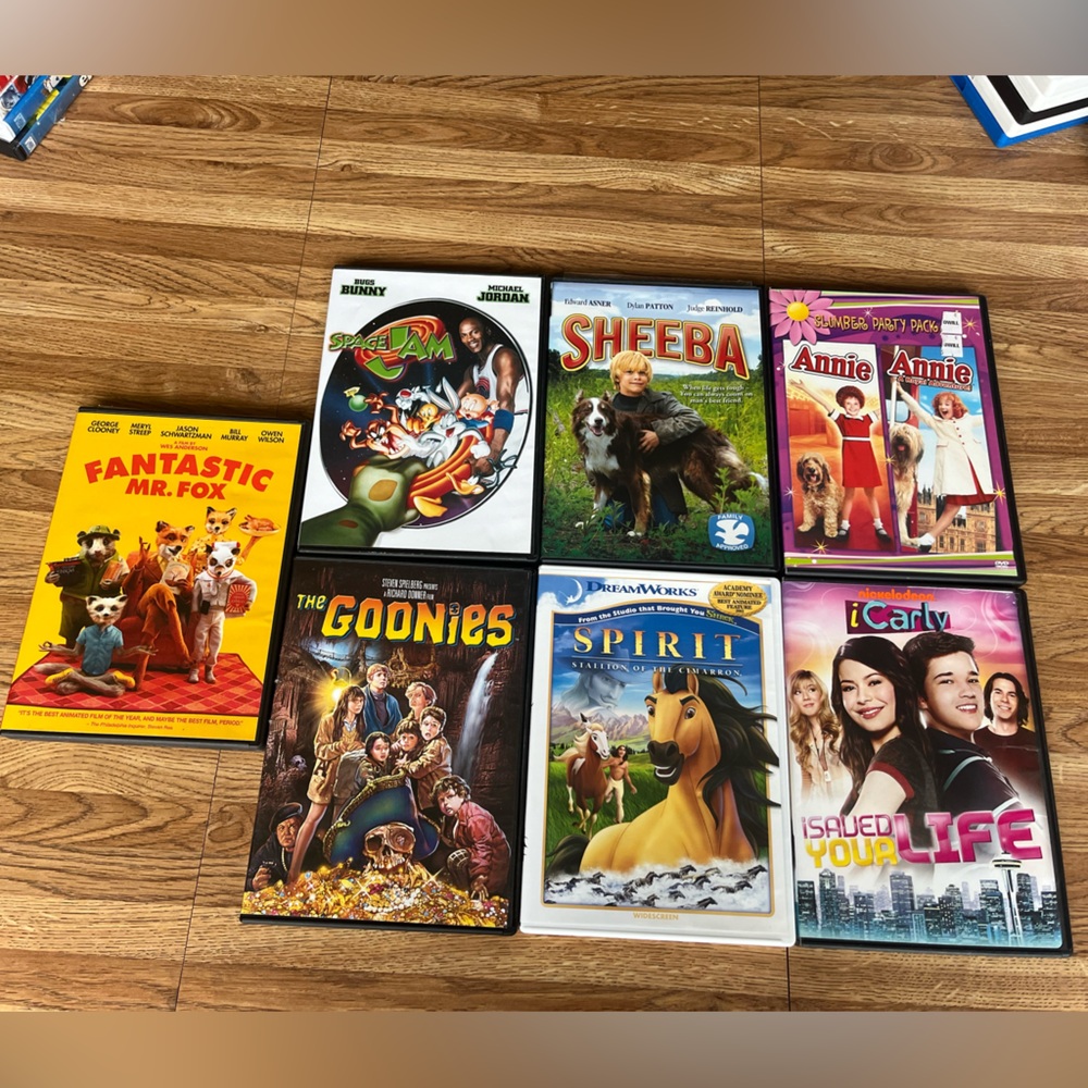 Children's DVD lot. Sheeba. Fantastic fox. Spirit. Goonies. Icarly. space jam.
